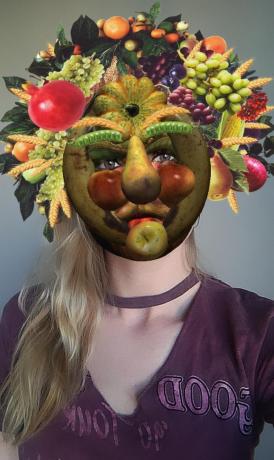 15 необичайни маски истории Instagram: Vertumn