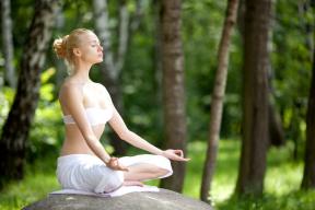 Насоки по основните направления на йога