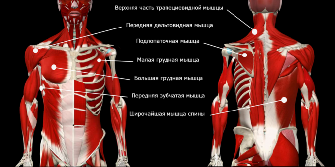 Поза корекция: сковани мускули