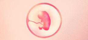 13-та седмица от бременността: какво се случва с бебето и майката - Lifehacker