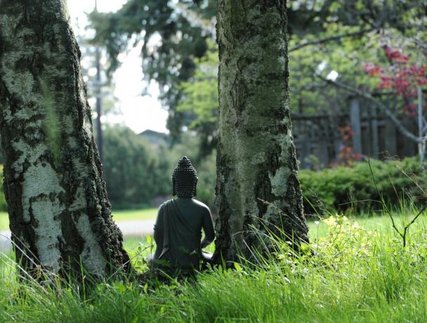 Тревожно разстройство може да бъде завладява чрез медитация