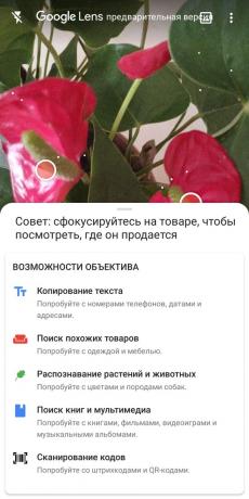 Идентифицирайте видове стайни растения с Google Lens