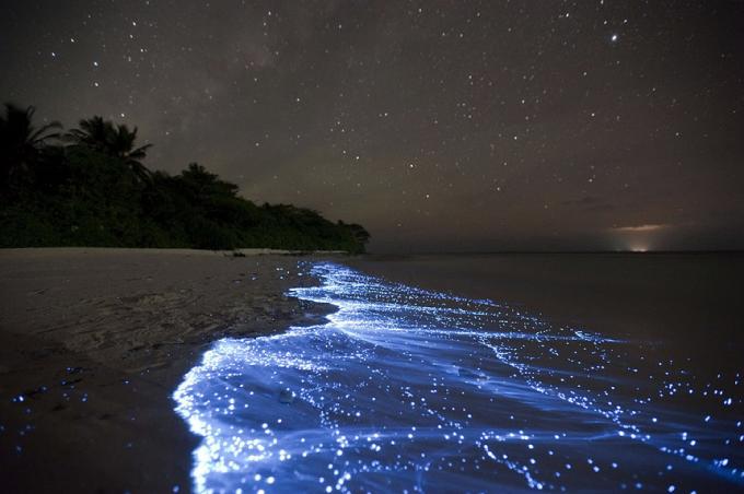 Bioluminescent бряг - Vaadhoo, Малдивските острови най-добрите плажове