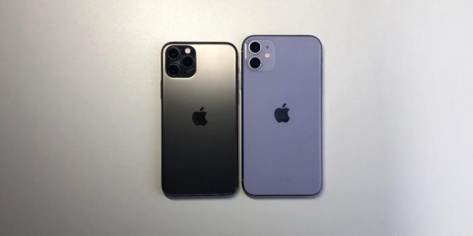 iPhone 11: 11 в сравнение с iPhone Pro