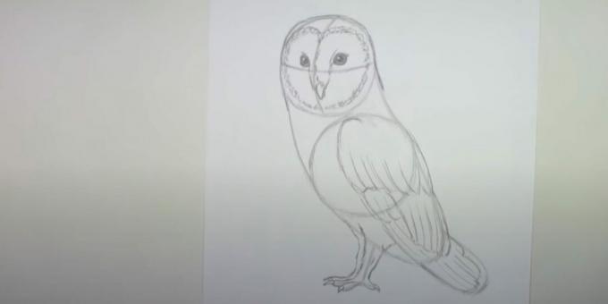 Как да нарисувате бухал: нарисувайте втората лапа и очертайте крилото