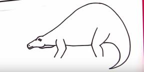 30 начина да нарисувате различни динозаври