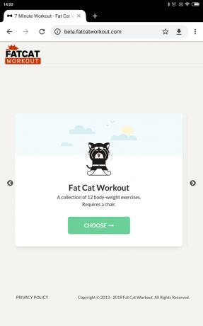 Тренировка за дебела котка