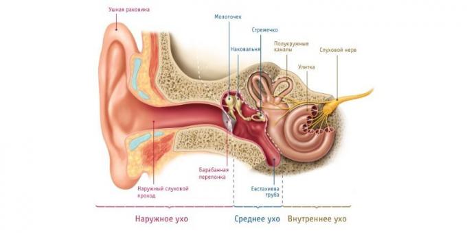 Ако детето има болки в ушите, има физиологична причина за това