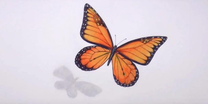 Изтриване на молив скици и черен цвят ощипване пеперуда модел