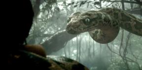 7 забавни и страшни филма за змии