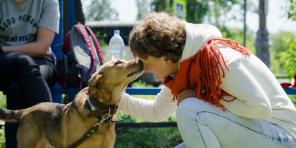 „Забиването на носа на кученце в локвите му е най-вредният съвет“: интервюта с експерти по поведение на кучетата
