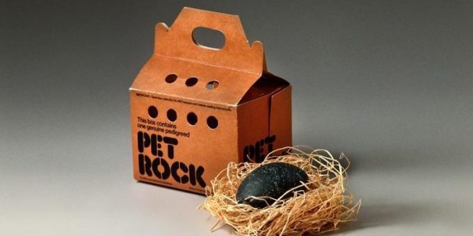Бизнес Идеи: Pet Rocks