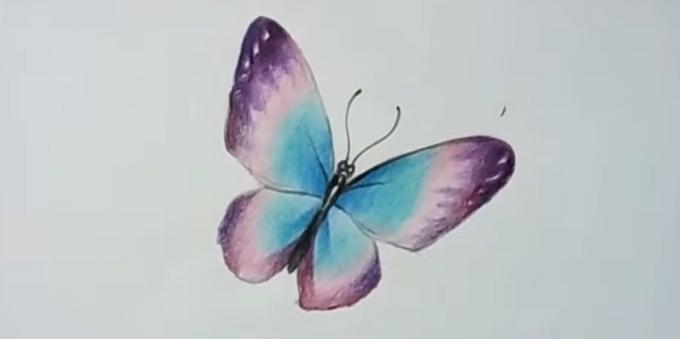 Добавете още наситени цветове лилави крила на пеперуда