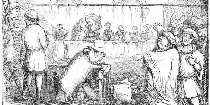 Прасе и прасенцата й са съдени за убийство на дете. Илюстрация от дневника на Chambers 'Day
