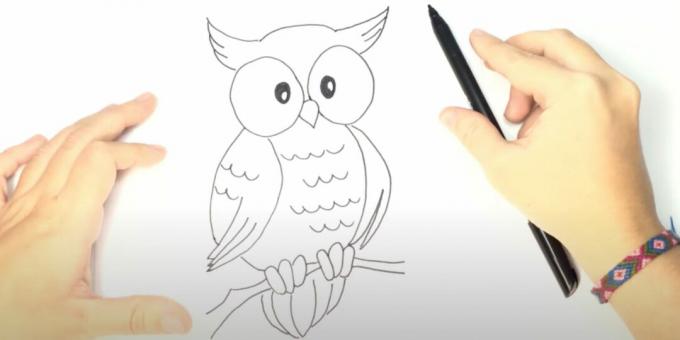 Как да нарисувате бухал: нарисувайте нокти, клон и опашка