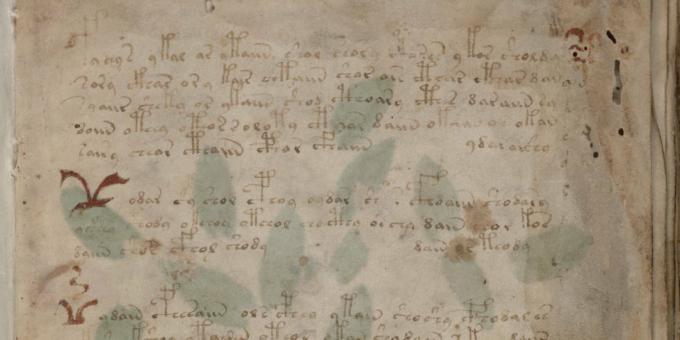Тайните на историята: ръкописът на Войнич