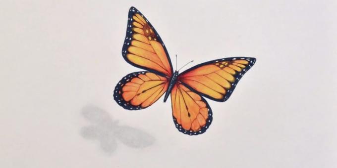 Как да се направи реалистична пеперуди маркери и цветни моливи