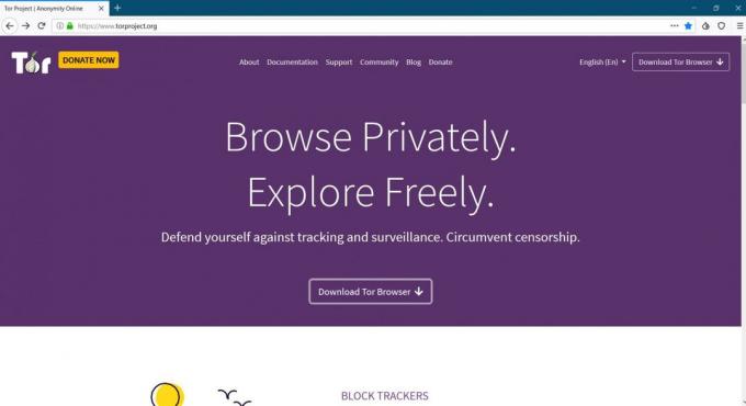 браузъри за компютъра: Tor Browser