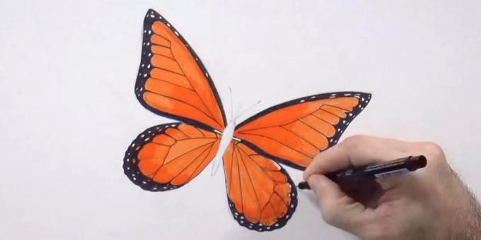 Paint долните ръбове на крилата и малкия черен кръг модел