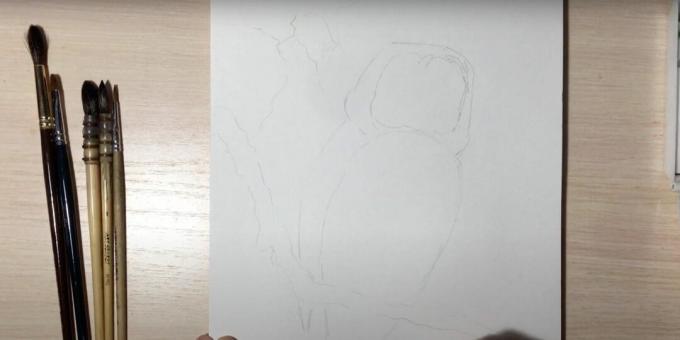 Как да нарисувате бухал: очертайте клона и тялото на бухал
