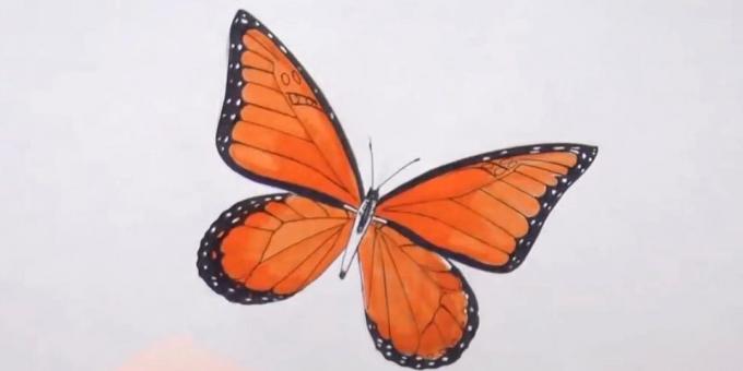 Кръгът на торса и разнообразяване модел пеперуда по крилата