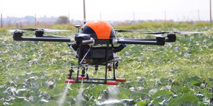 Drone помага отглеждат растения