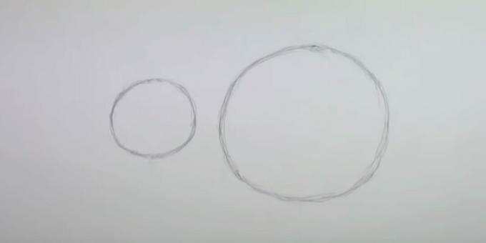 Как да нарисувате мишка: скицирайте торса и главата